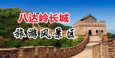 免费看男人日老女人b中国北京-八达岭长城旅游风景区
